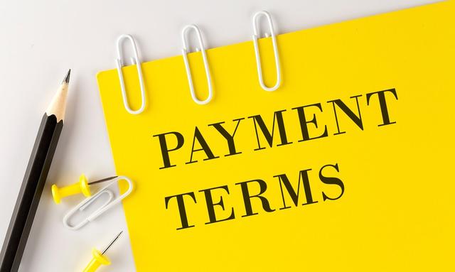 Fees and Payment Terms
